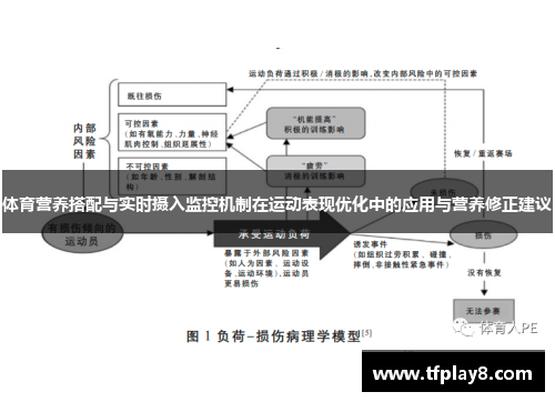 体育营养搭配与实时摄入监控机制在运动表现优化中的应用与营养修正建议