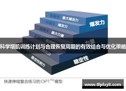科学增肌训练计划与合理恢复周期的有效结合与优化策略